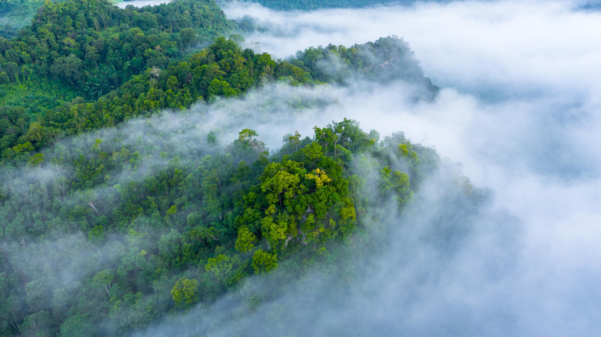 Adobestock 291451528