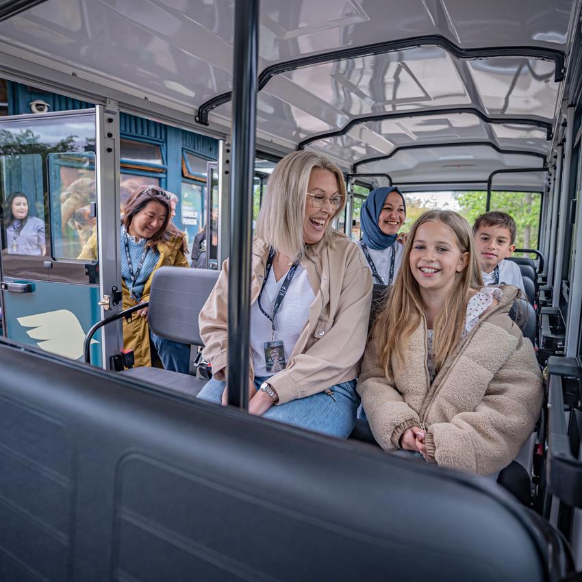 Experiences Tours 068