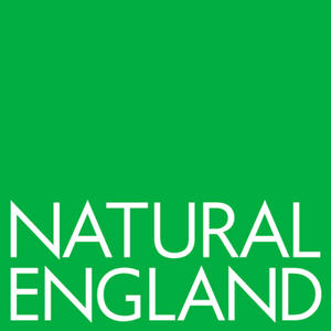 Natural England Square Logo