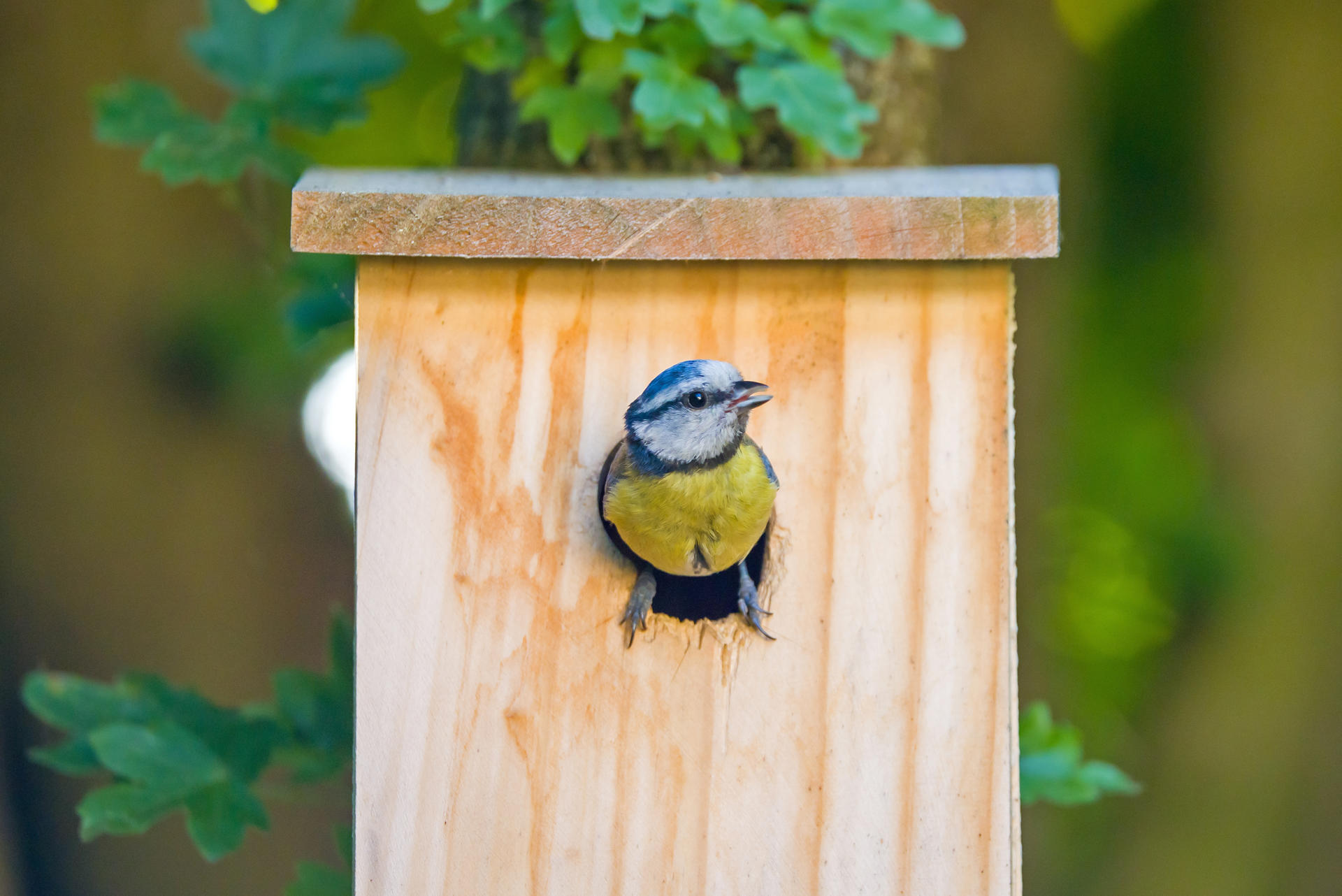 Adobestock 1253821299