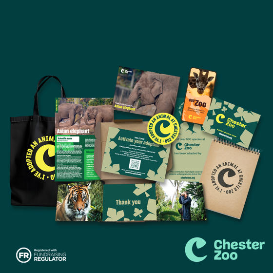 Asset Set 16 Packshot Elephant 1 1