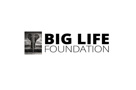 Big Life Foundation LOGO