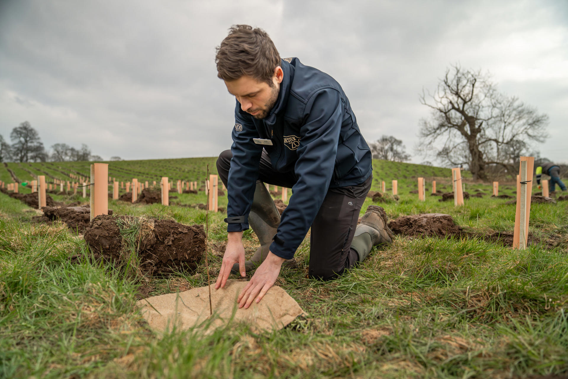 Woodland Planting Chester Zoo