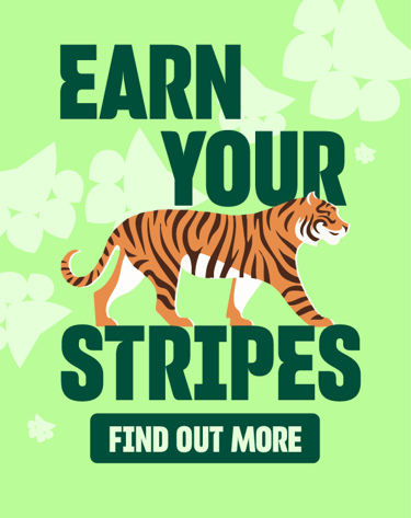 Earn Your Stripes Homepage Carousel