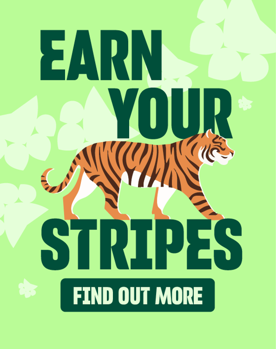 Earn Your Stripes Homepage Carousel
