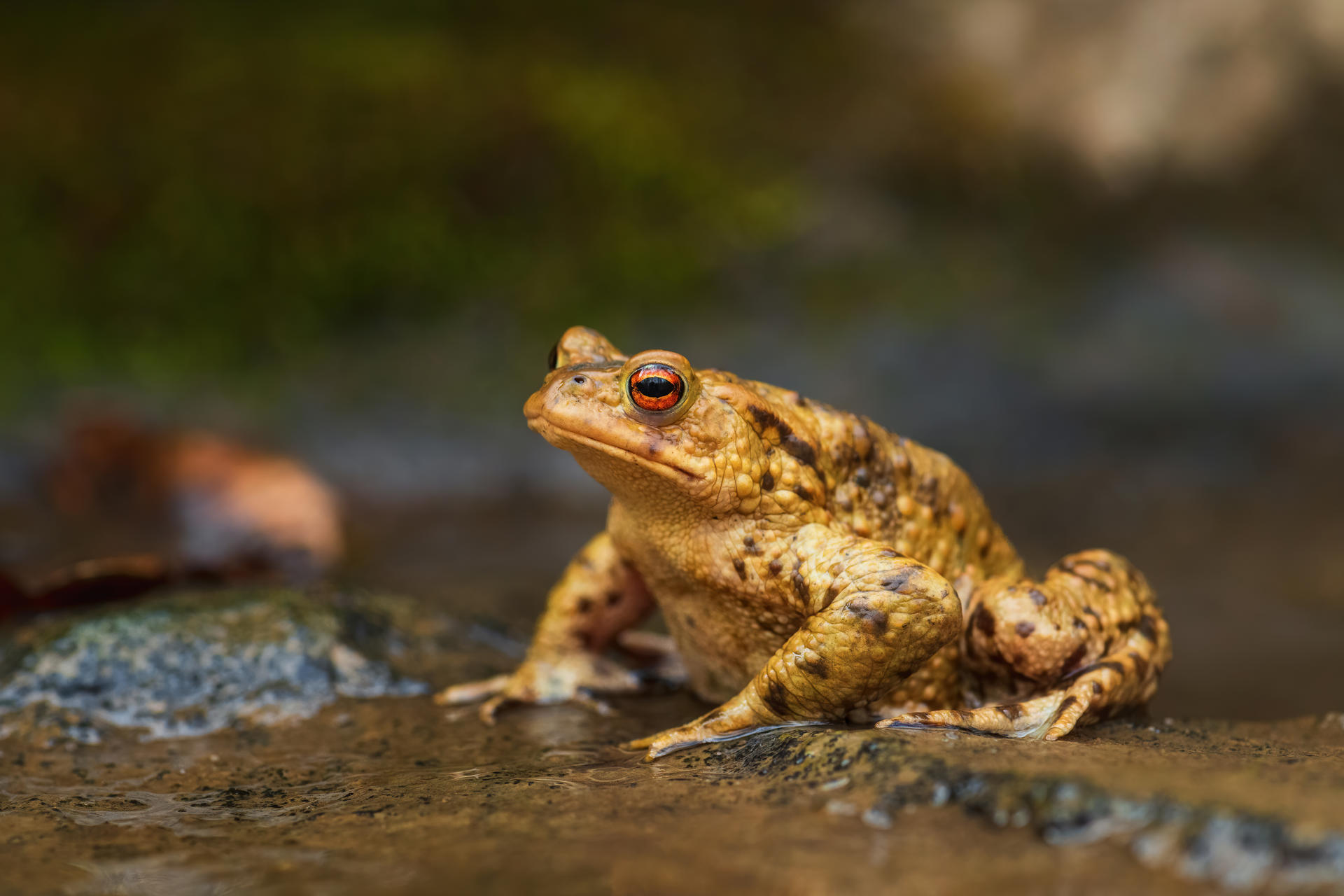 Adobestock 347424219
