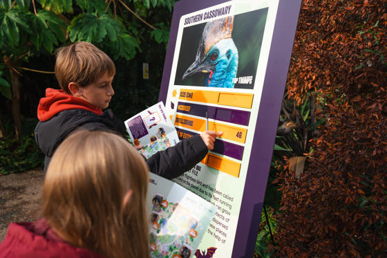Halloween Trail 2026 10