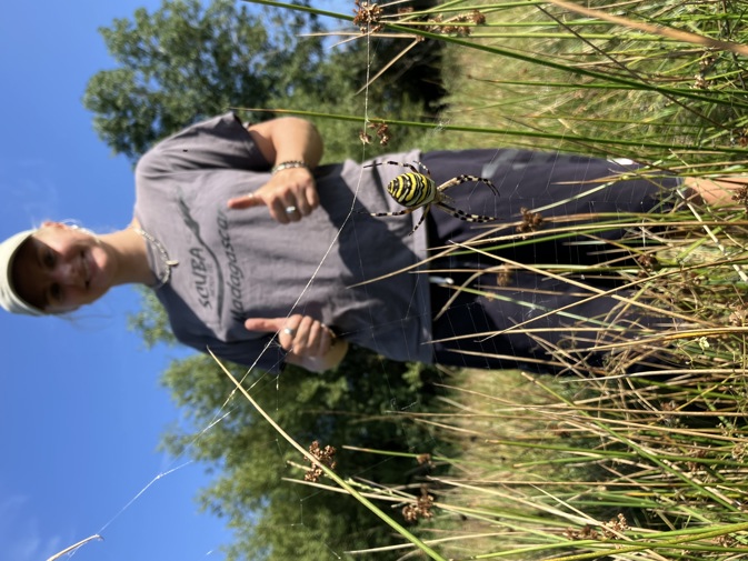 Photo shows a spider with yellow and black stripes hanging from a web. A woman stands in the background with her thumbs up