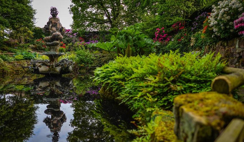 Sunken Garden Habitat At The Zoo 2014 Horticulture And Botany Desktop 1400X817 1