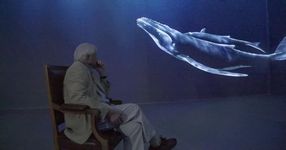 Sir David Attenborough Experiences Our Story With David Attenborough 1 (C) Open Planet Studios, Photographer Gavin Thurston