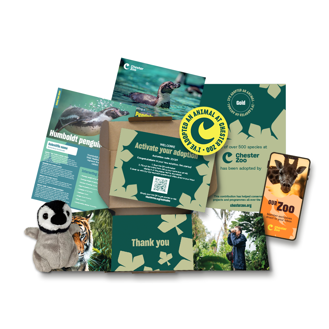 Penguin Welcome Pack Square