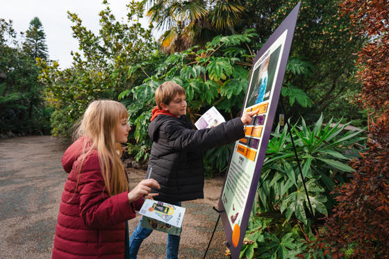 Halloween Trail 2026 11