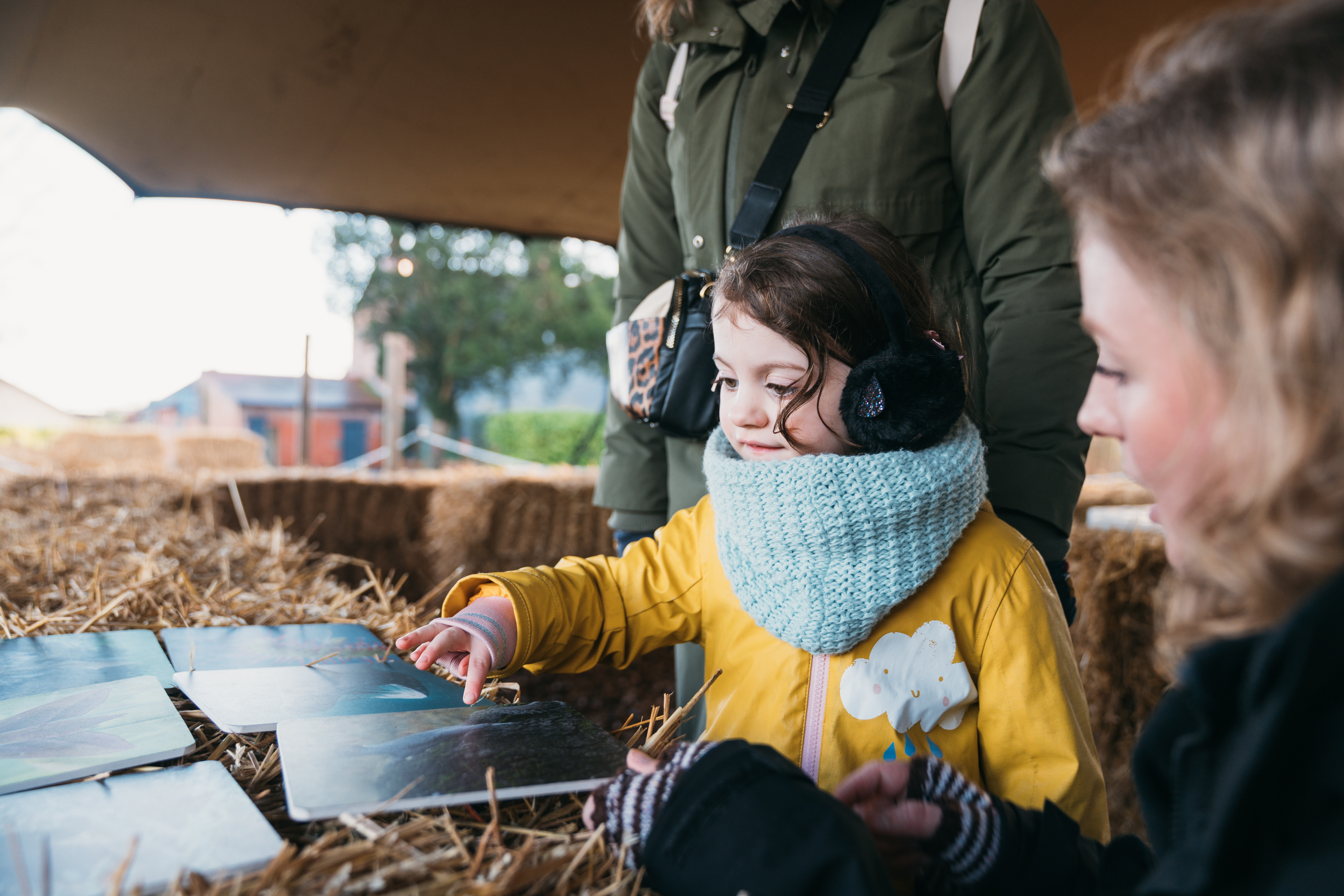 Chesterzoo Wellness Elliottwaring 100