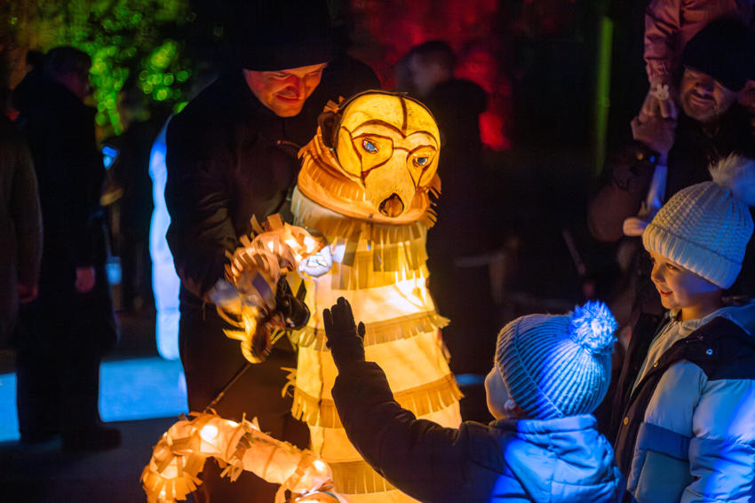 David Hughes Lanterns & Light 2025 006