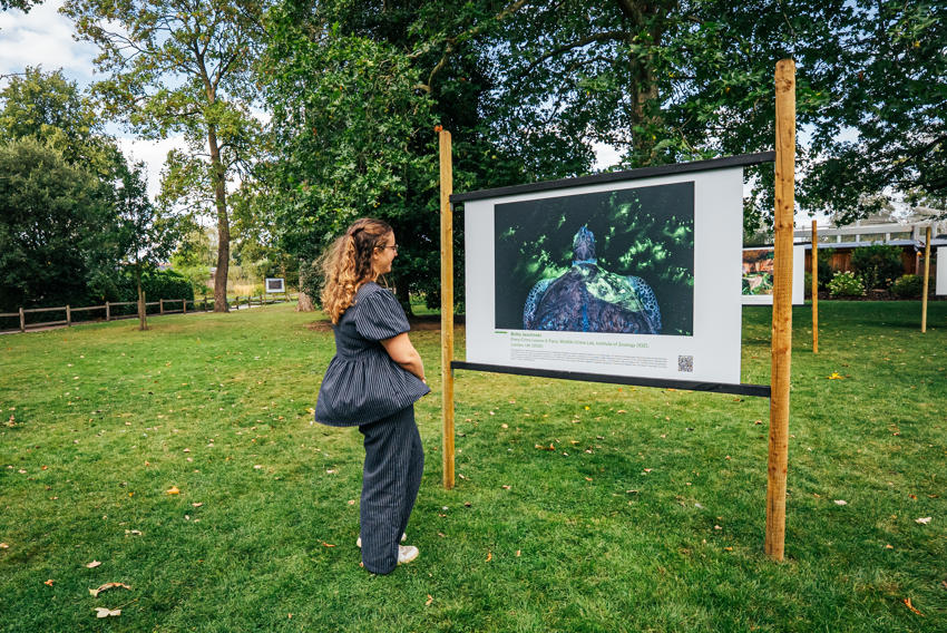 Earth Photo 7