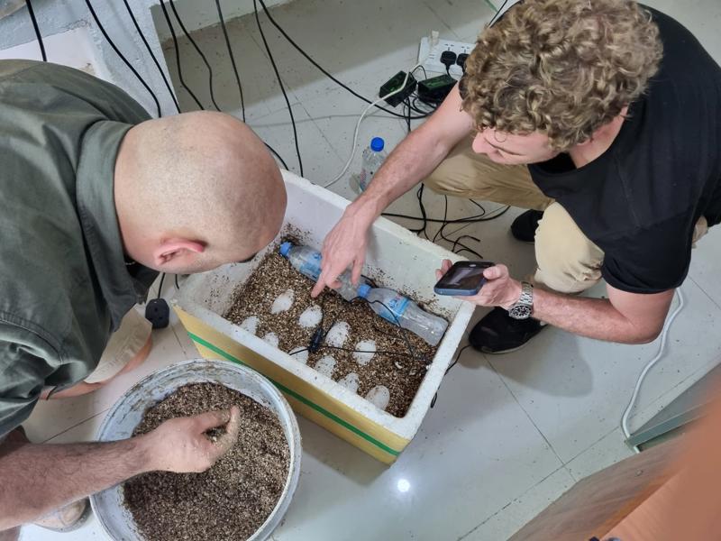 Image shows two men inspecting an egg incubator. This is a box with ten white eggs partly buried in organic material