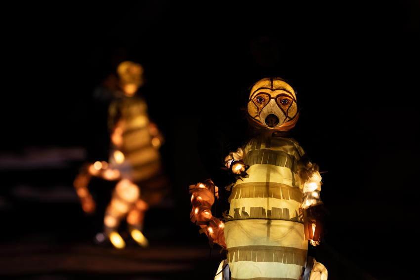 2024 Steve Rawlins Lanterns & Light 034