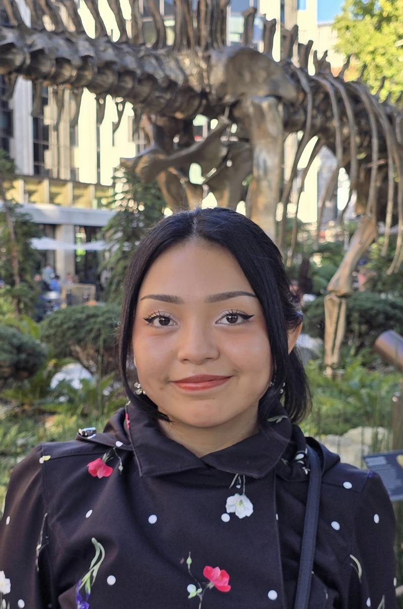 Ximena