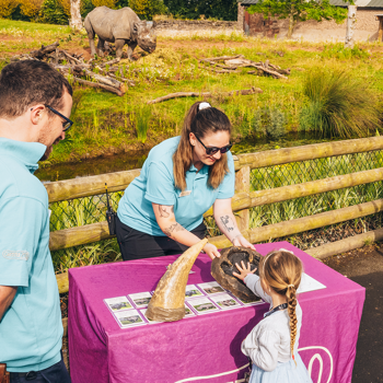 Rhino Breakfast Zoo Rangers SQUARE