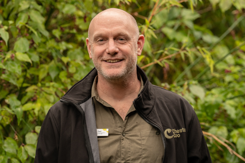Photo shows a bald man wearing Chester Zoo branded clothes (black with a yellow CZ logo). He's looking at the camera