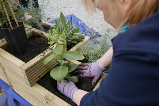 Scientists Find Small Gardens Are A Big Barrier To Reversing Biodiversity Decline – But Better Planning Could Protect UK Biodiversity Gardening