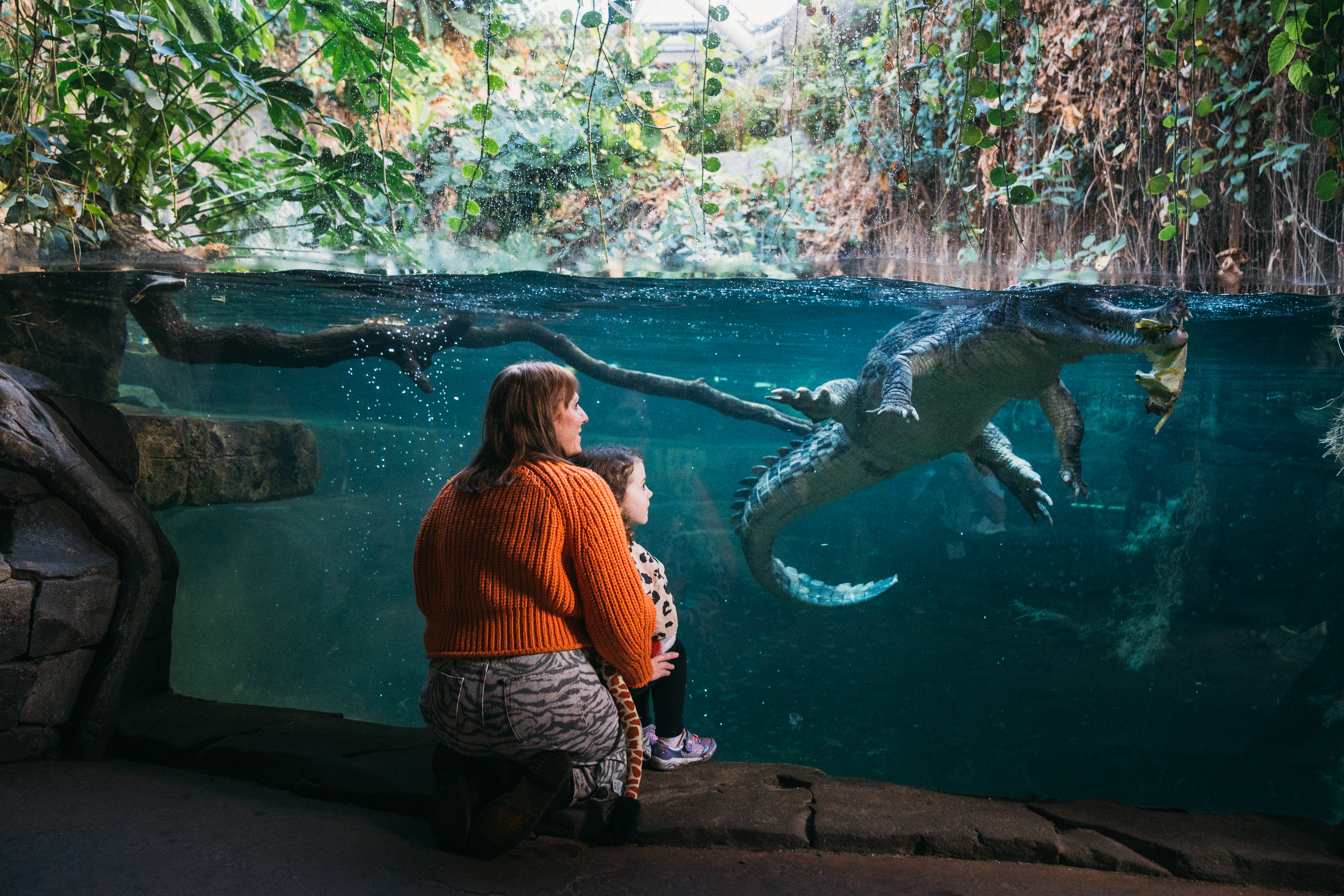 Chesterzoo Wellness Elliottwaring 36