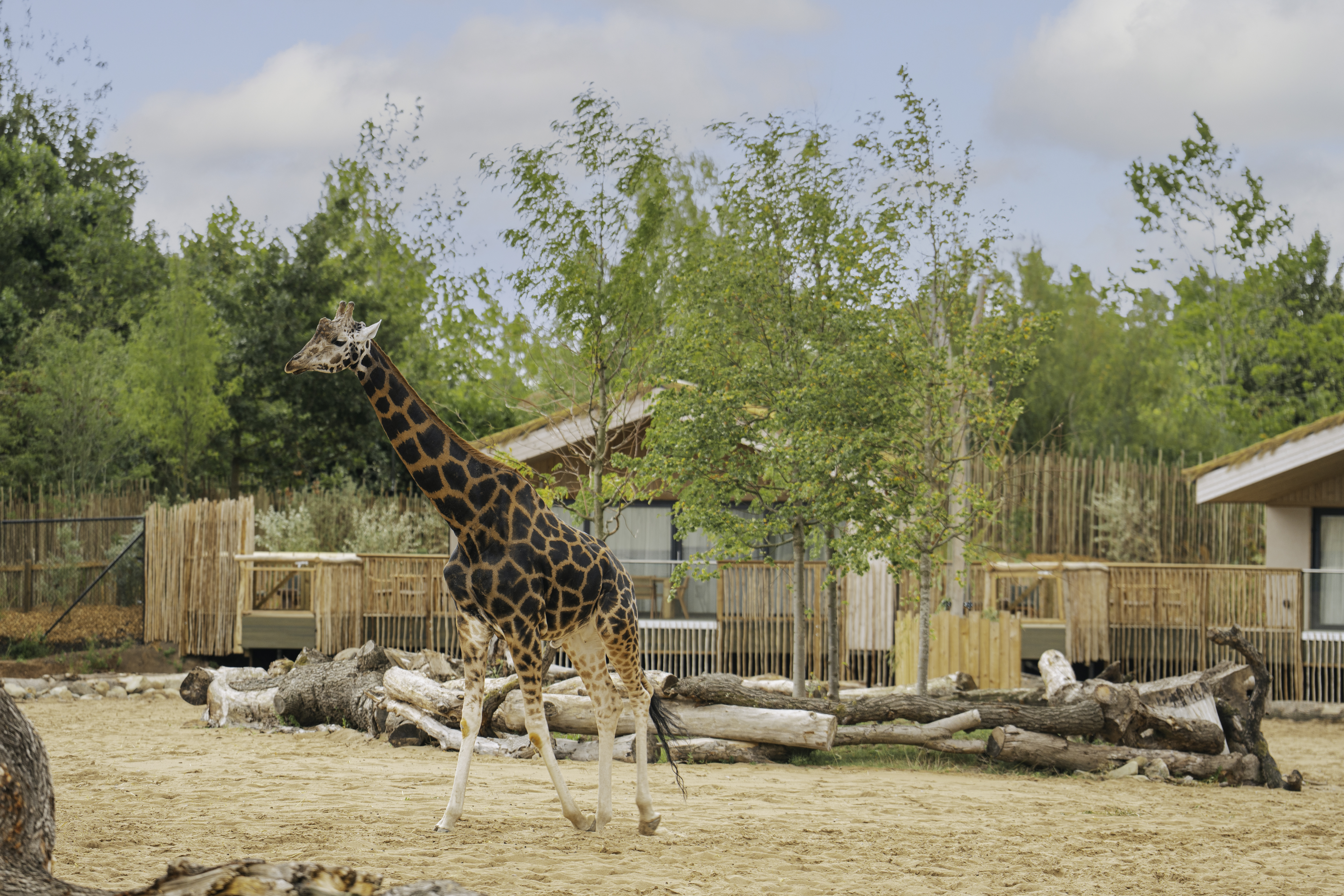 The Reserve Web 039