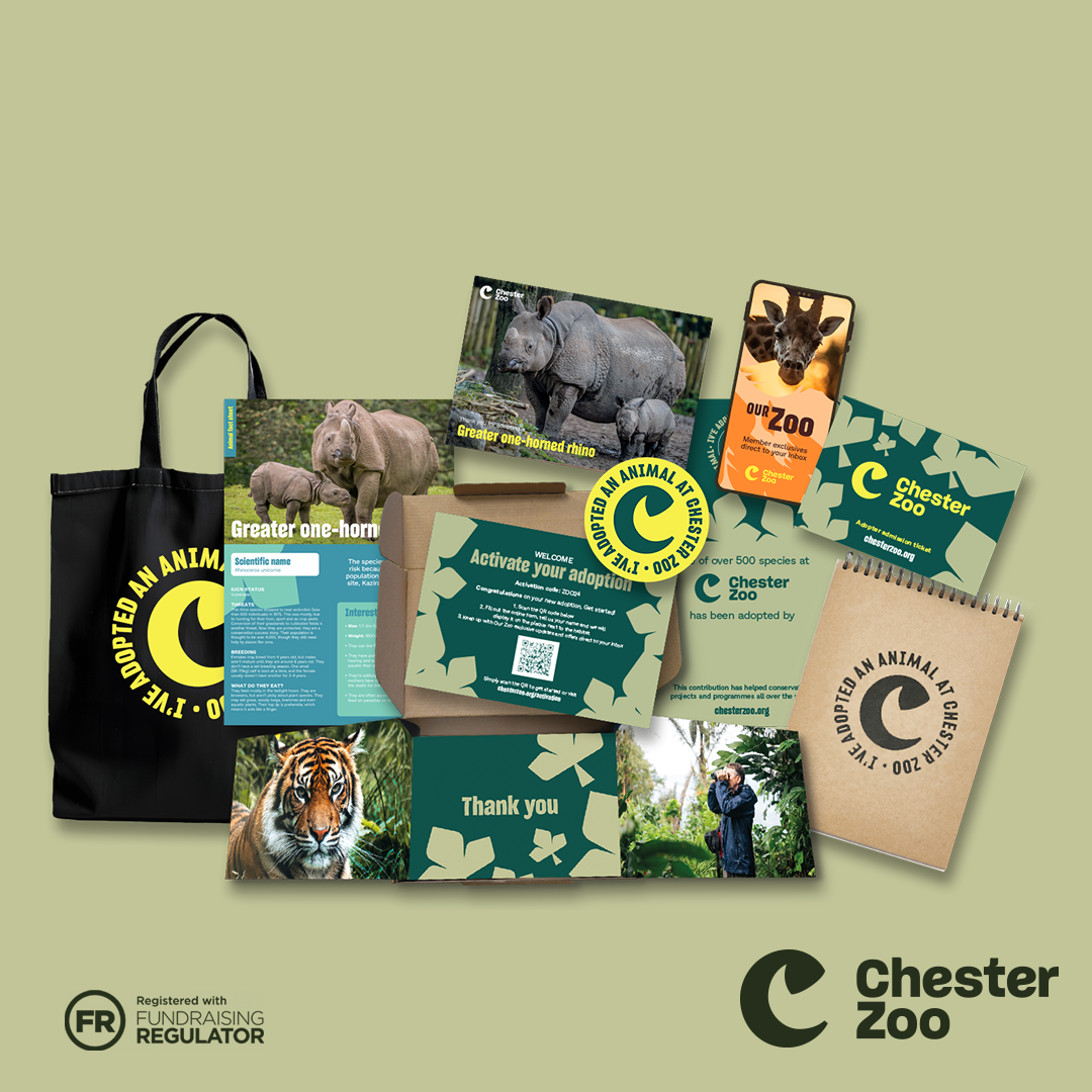 Packshot Greater One Horned Rhino 1 1