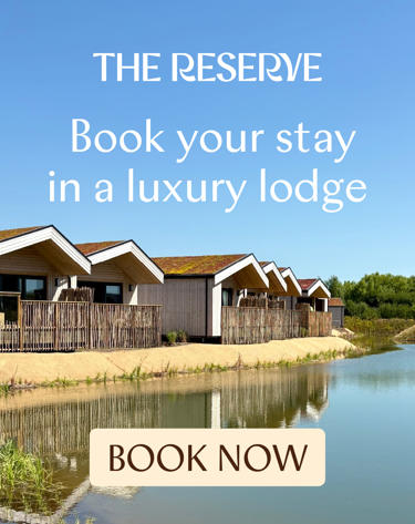 Reserve (1)