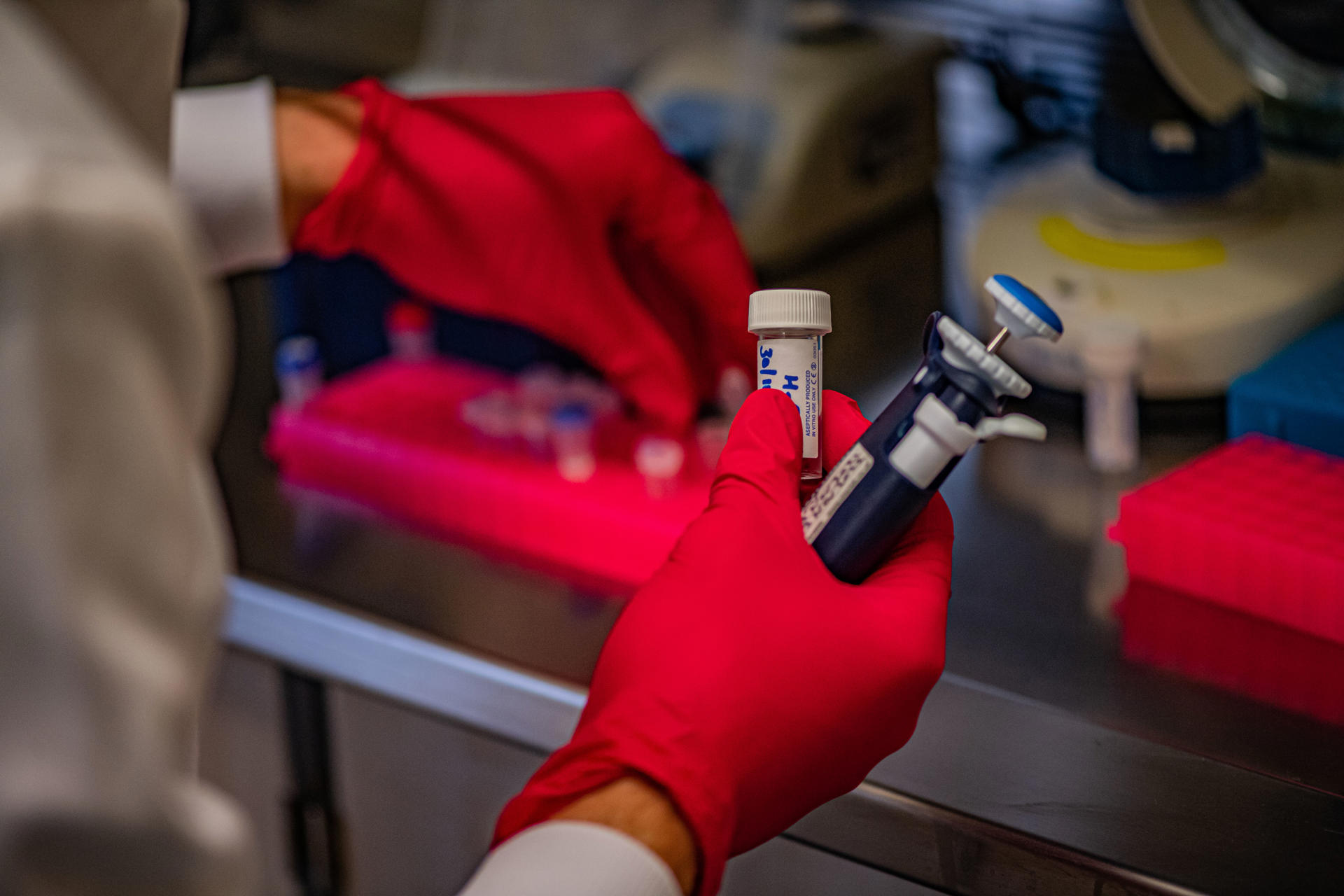 World First Pilot Study Of New Vaccine To Fight Elephant Virus Begins In UK And Irish Zoos. Lab Tech John O'hanlon At Chester Zoo (17)