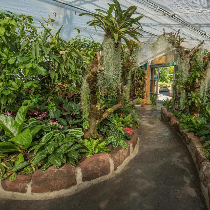 Plant Project SQUARE
