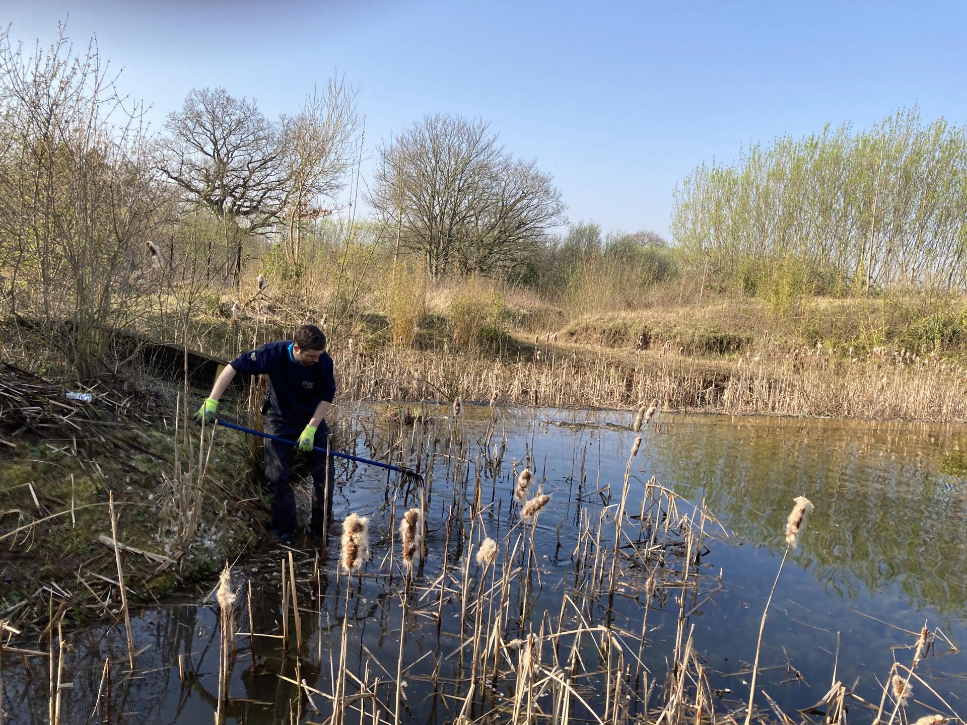 220325 NRC CZ Estate Habitat 021 (Clearing A Pond Of Reed Mace)