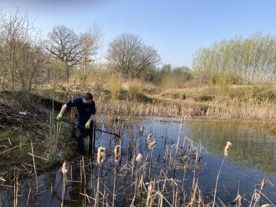 220325 NRC CZ Estate Habitat 021 (Clearing A Pond Of Reed Mace)