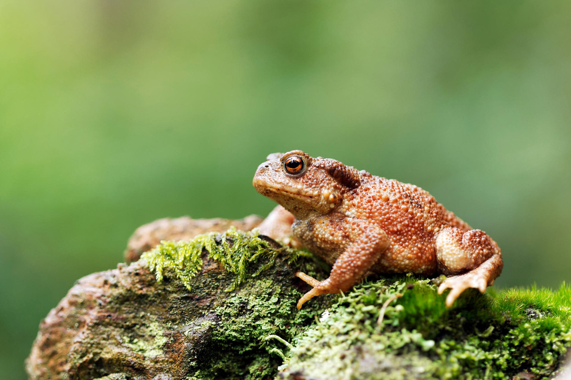Adobestock 54261318