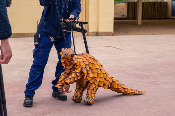 Pangolin puppet