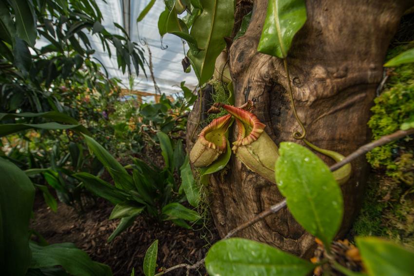 Plantproject 8