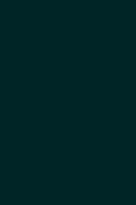 News placeholder