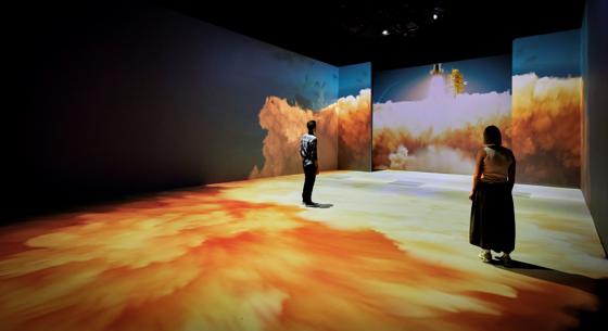 Our Story With David Attenborough 6 (C) Trustees Of The Natural History Museum