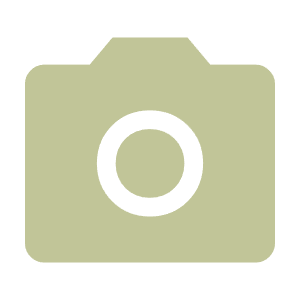 Photo Camera Icon