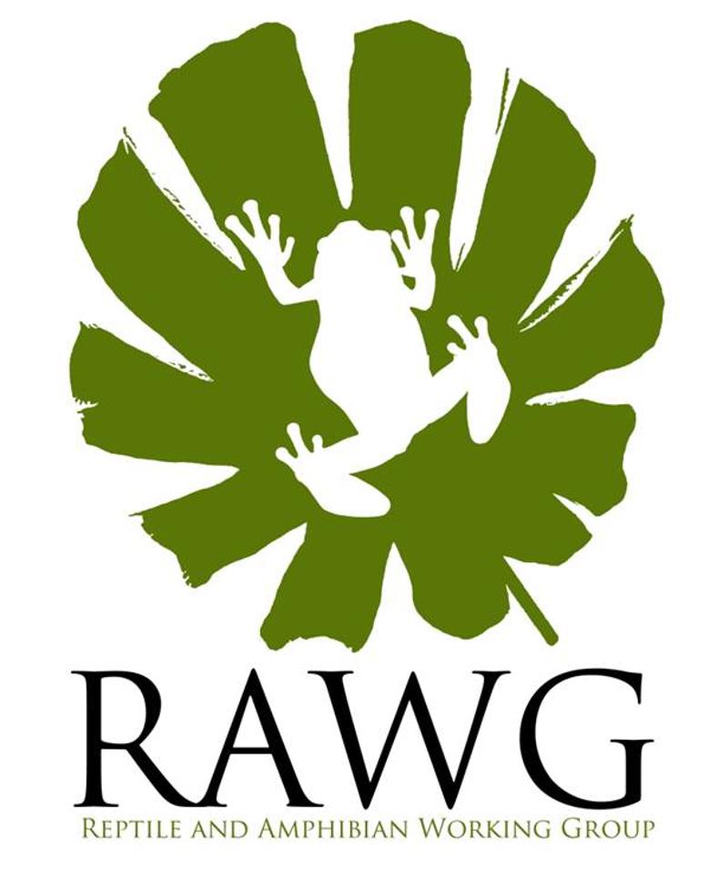 RAWG Logo