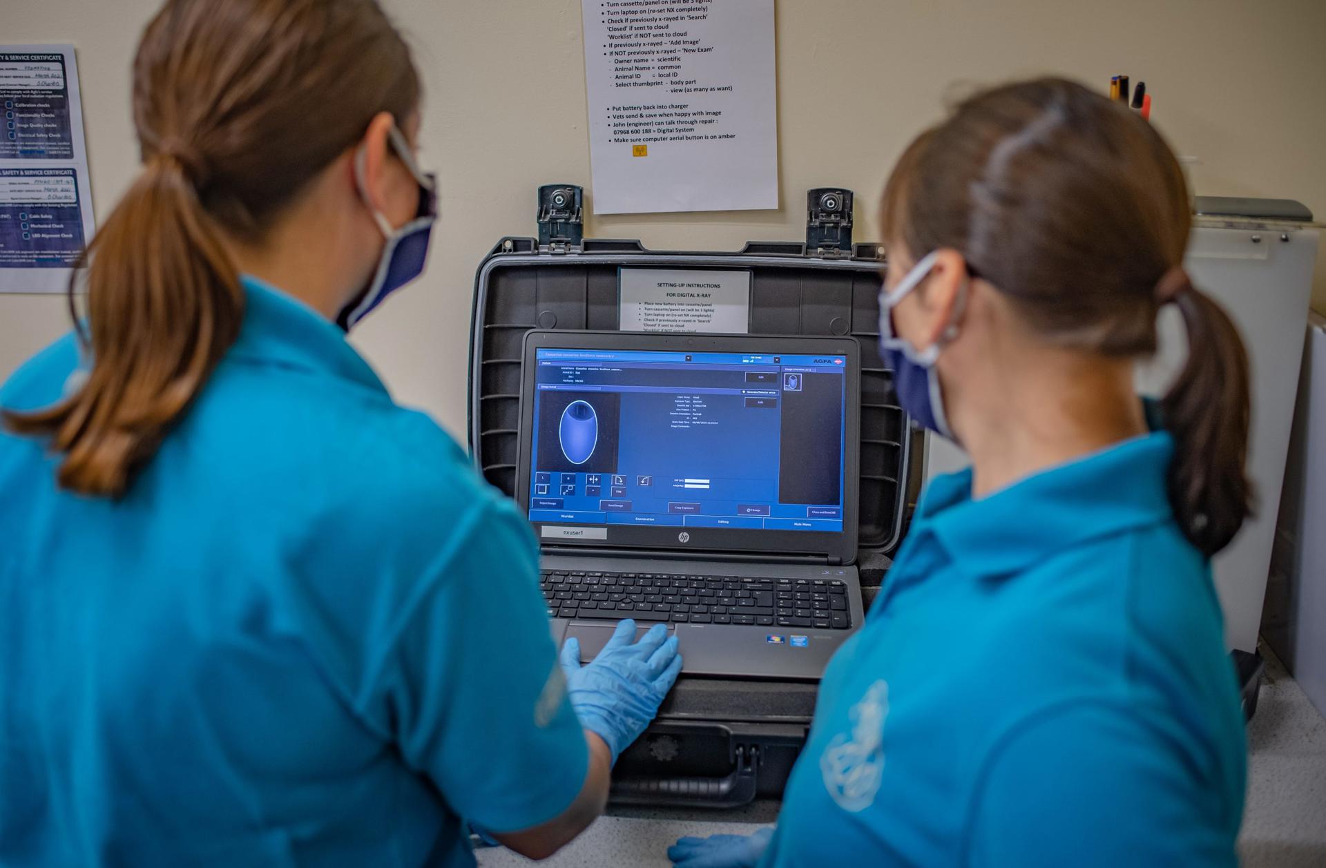 Xray Cassowary