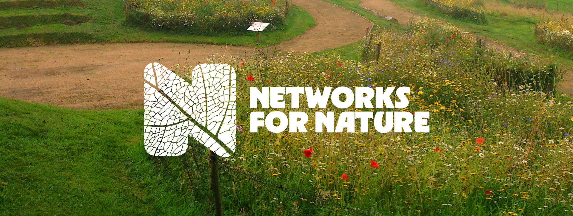 Networks for Nature logo (a large N with a stylised leaf-like texture) on top of a field of wildflowers