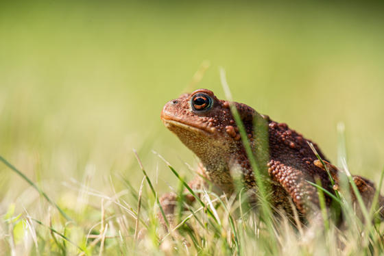 Adobestock 1957694862
