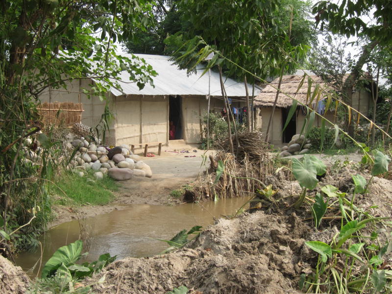 A Nepalese village. A house with a corrugated iron roof sits in a clearing between foliage
