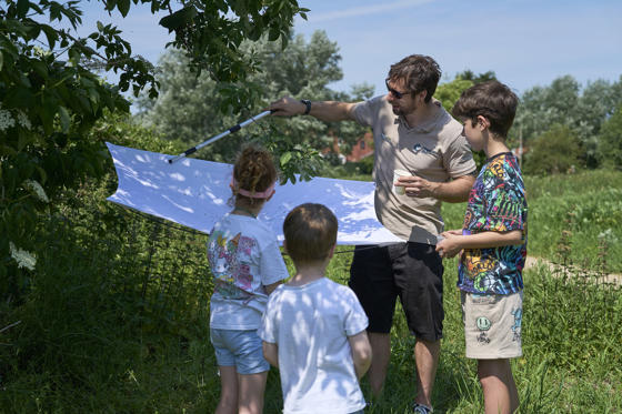 Major Conservation Wins Celebrated As Project Hits One Year Milestone Community Work (C) Chester Zoo Insect Hunt On The Backies Reopening