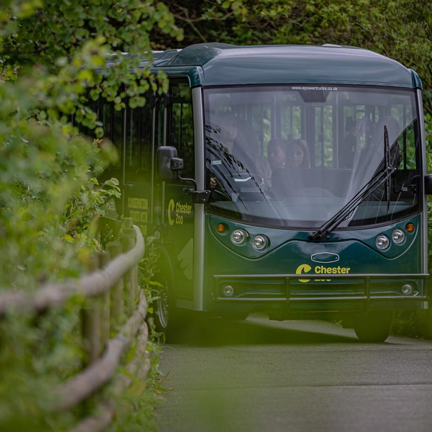 Experiences Tours 075