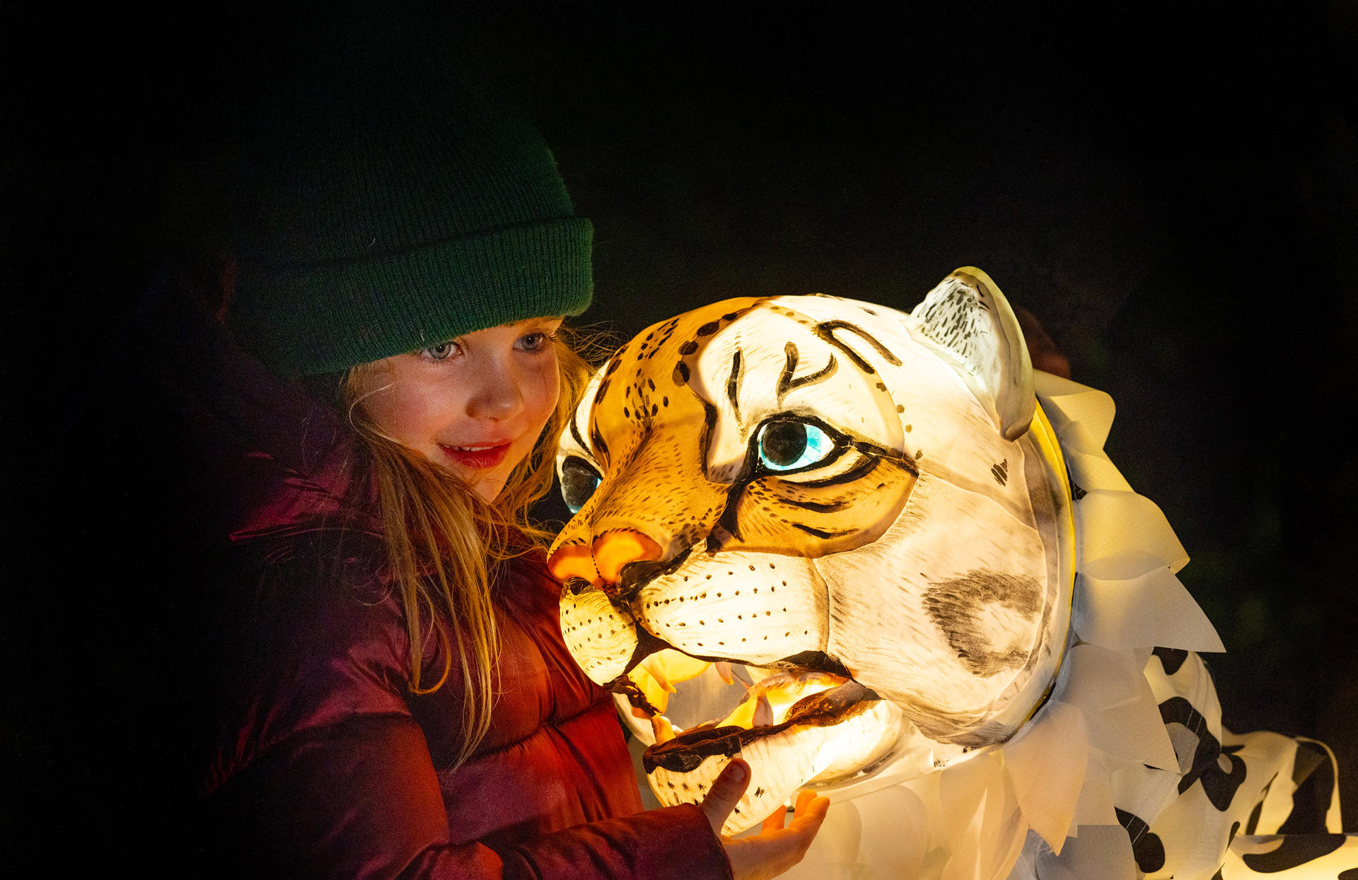 Lanterns And Light Snow Leopard Puppet Extended