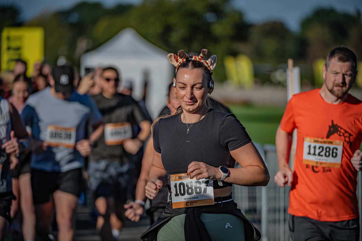 Zoorun 46