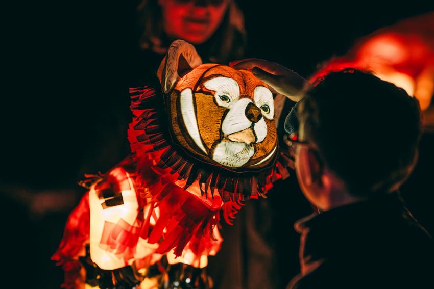 Lanterns2 33 (1)