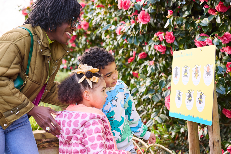 Family Looks At Bee Sign 2024 (1)